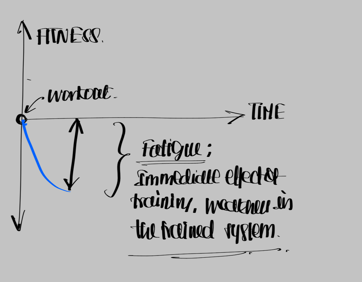 Diagram showing fitness dipping immediately after a workout due to fatigue