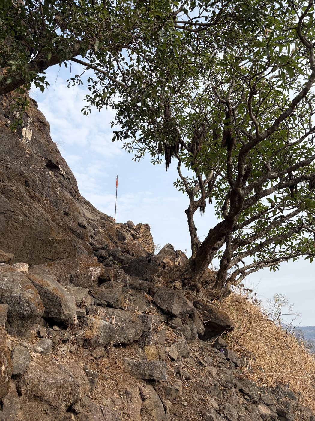 Kothaligad Fort